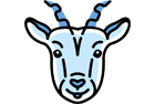 capricorn
