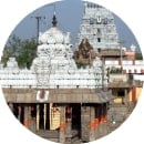 Parthasarathy Swami Temple