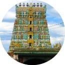 Vanamamalai Perumal Temple, Nanguneri