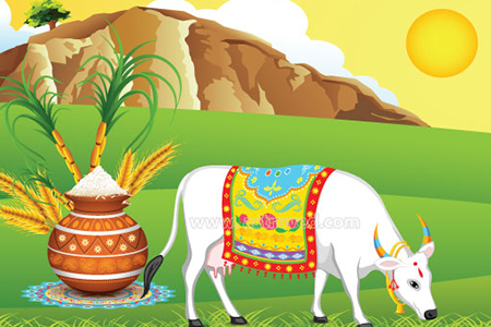 Maatu Pongal