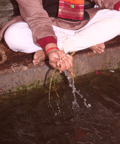 Pitru Dosha Pitru Dosha