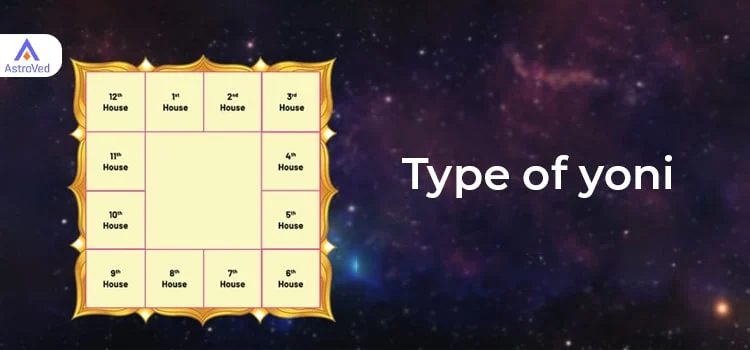 Type of Yoni