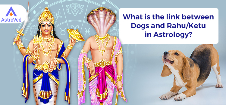 Dogs-and-Rahu-Ketu-in-Astrology
