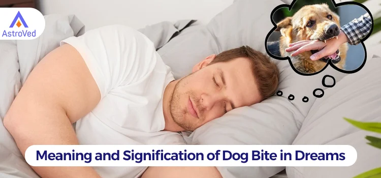 Dog Bite in Dreams
