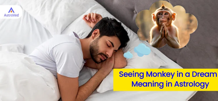 Seeing Monkey in a Dream – Meaning in Astrology