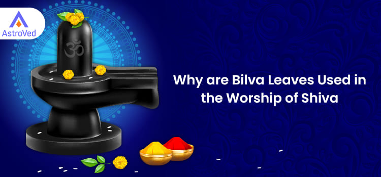 Why are Bilva Leaves Used in the Worship of Shiva