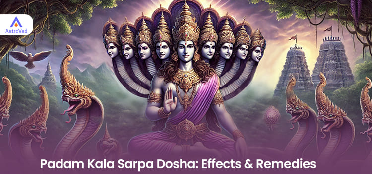Padam Kala Sarpa Dosha