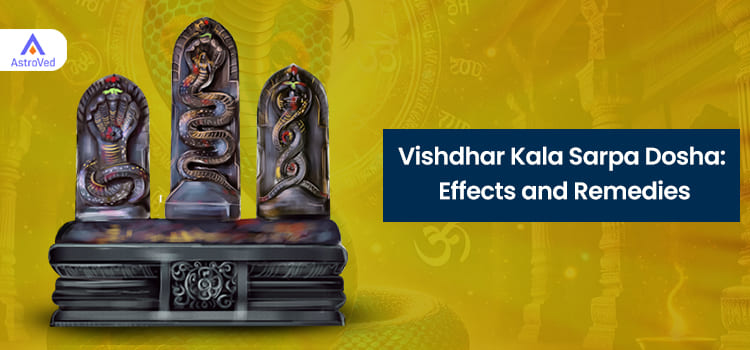 Vishdhar Kala Sarpa Dosha