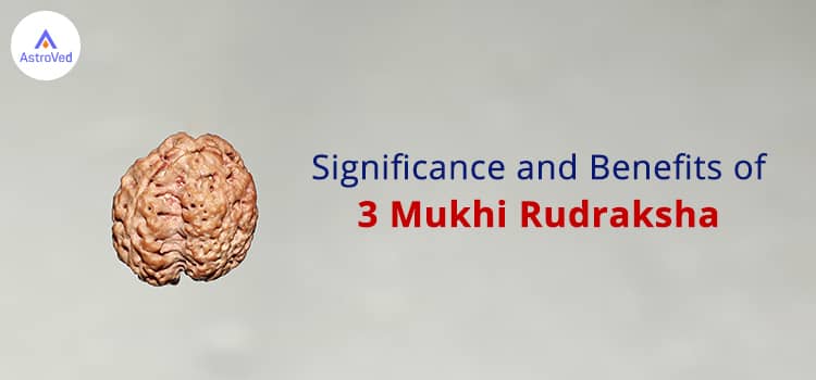 3 mukhi rudraksha