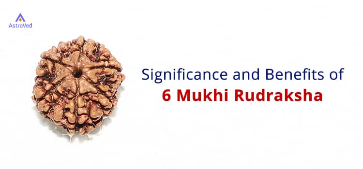 6 Mukhi Rudraksha