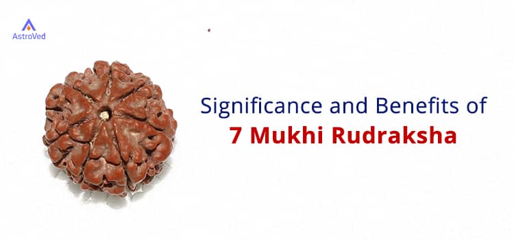 7 Mukhi Rudraksha