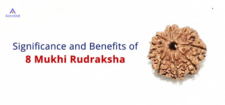 8 Mukhi Rudraksha