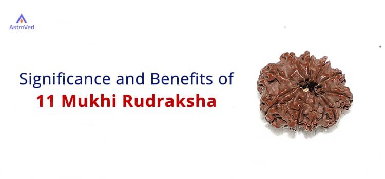 11 Mukhi Rudraksha