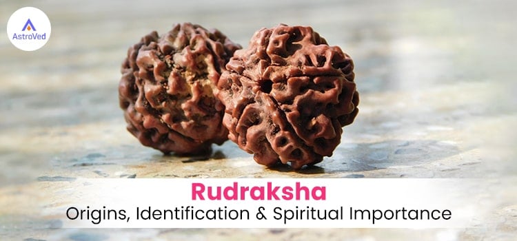Rudrakshas
