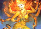 9 Priest Individual Nava Chandi Homa
