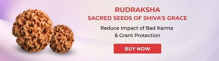Rudraksha  Sacred Seeds of Shivas Grace