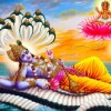 padmanabha-dwadashi