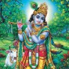 parivartani-ekadashi