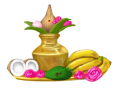 Poojas Performed